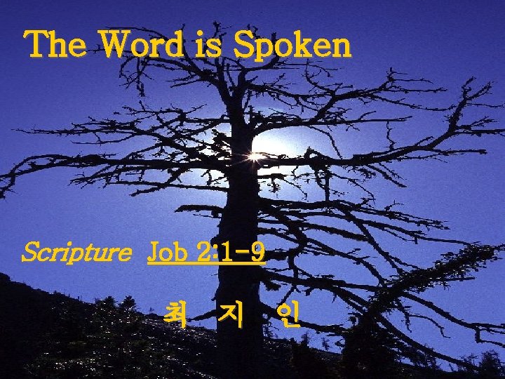The Word is Spoken Scripture Job 2: 1 -9 최 지 인 