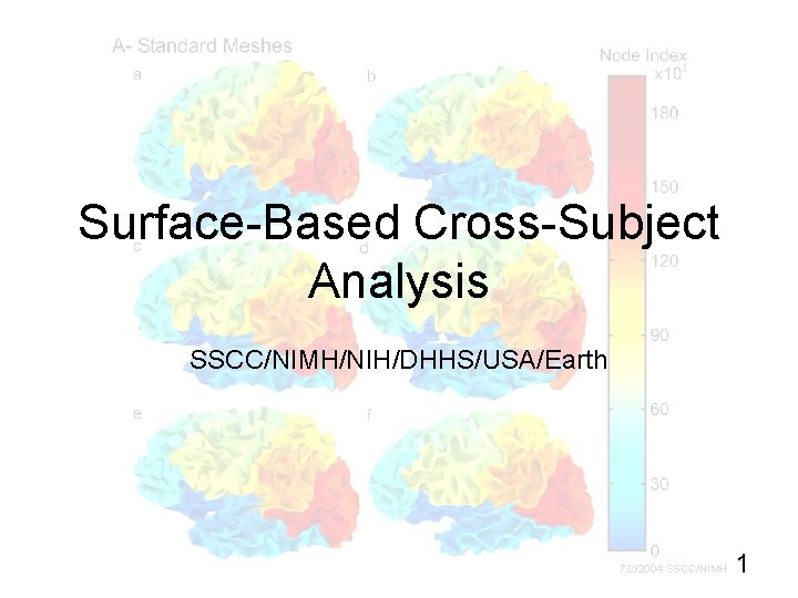 Surface-Based Cross-Subject Analysis SSCC/NIMH/NIH/DHHS/USA/Earth 7/2/2004 SSCC/NIMH 1 