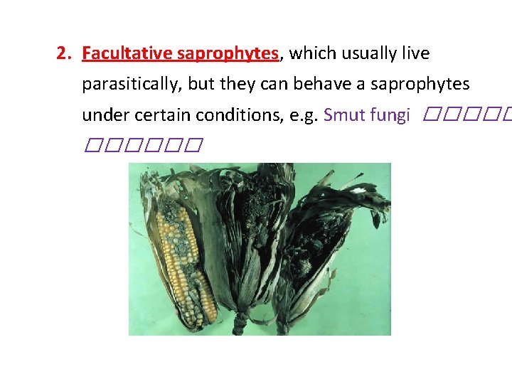 2. Facultative saprophytes, which usually live parasitically, but they can behave a saprophytes under