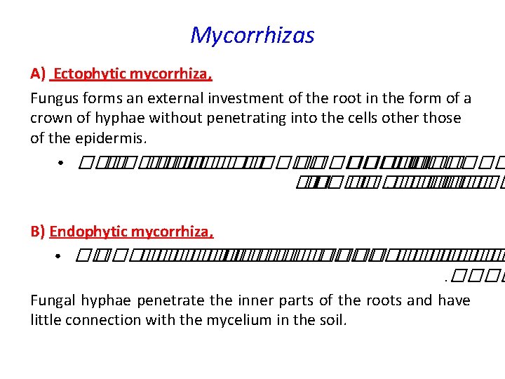 Mycorrhizas A) Ectophytic mycorrhiza, Fungus forms an external investment of the root in the