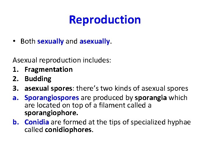 Reproduction • Both sexually and asexually. Asexual reproduction includes: 1. Fragmentation 2. Budding 3.