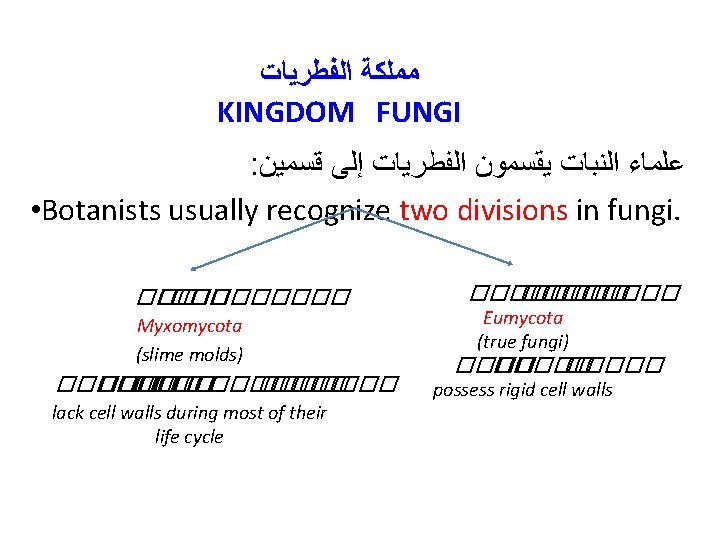  ﻣﻤﻠﻜﺔ ﺍﻟﻔﻄﺮﻳﺎﺕ KINGDOM FUNGI : ﻋﻠﻤﺎﺀ ﺍﻟﻨﺒﺎﺕ ﻳﻘﺴﻤﻮﻥ ﺍﻟﻔﻄﺮﻳﺎﺕ ﺇﻟﻰ ﻗﺴﻤﻴﻦ • Botanists