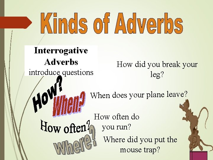 Interrogative Adverbs introduce questions How did you break your leg? When does your plane