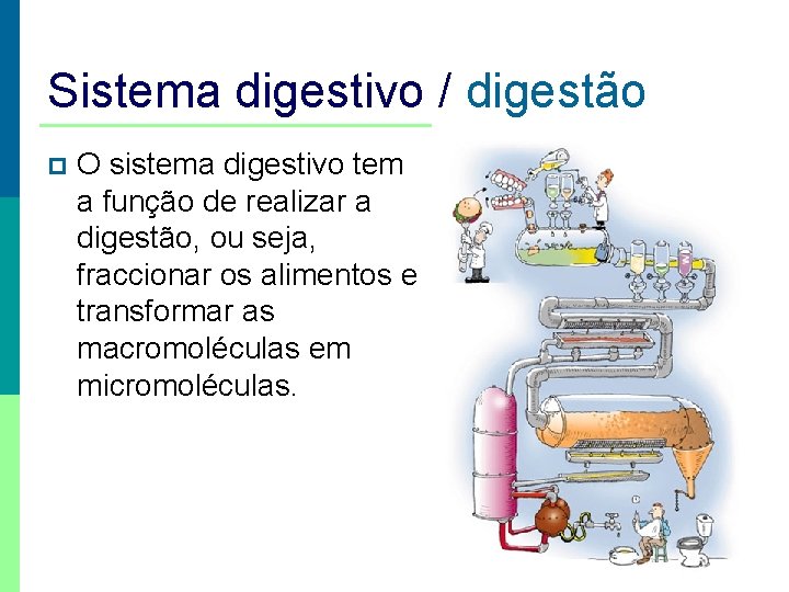 Sistema digestivo / digestão p O sistema digestivo tem a função de realizar a