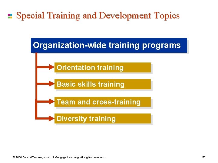 Special Training and Development Topics Organization-wide training programs Orientation training Basic skills training Team