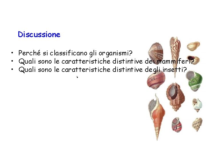 Discussione • Perché si classificano gli organismi? • Quali sono le caratteristiche distintive dei