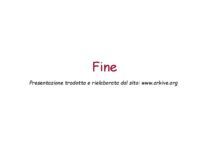 Fine Presentazione tradotta e rielaborata dal sito: www. arkive. org 