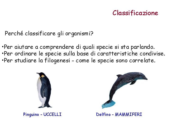 Classificazione Perché classificare gli organismi? • Per aiutare a comprendere di quali specie si