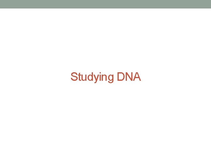 Studying DNA 