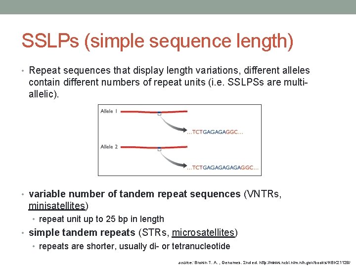 SSLPs (simple sequence length) • Repeat sequences that display length variations, different alleles contain