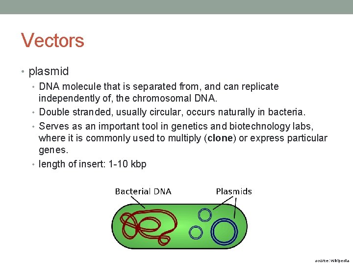 Vectors • plasmid • DNA molecule that is separated from, and can replicate independently