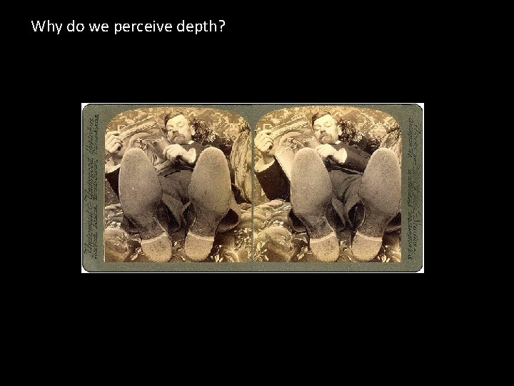 Why do we perceive depth? 