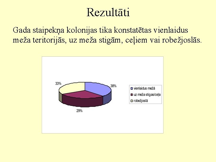 Rezultāti Gada staipekņa kolonijas tika konstatētas vienlaidus meža teritorijās, uz meža stigām, ceļiem vai