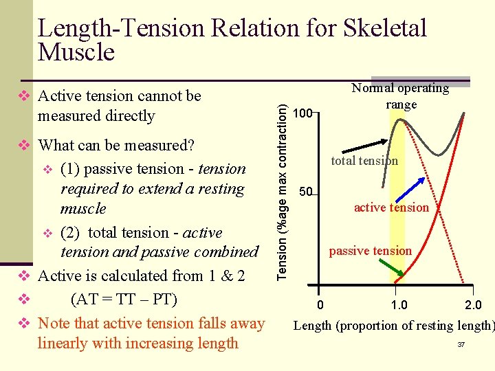v Active tension cannot be measured directly v What can be measured? (1) passive