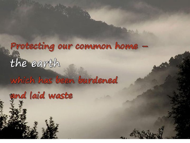 Protecting our common home – the earth which has been burdened and laid waste