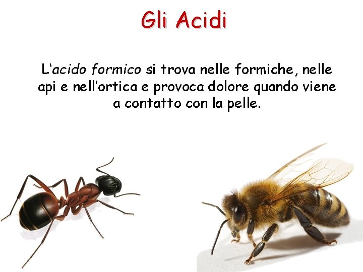 Gli Acidi L‘acido formico si trova nelle formiche, nelle api e nell’ortica e provoca