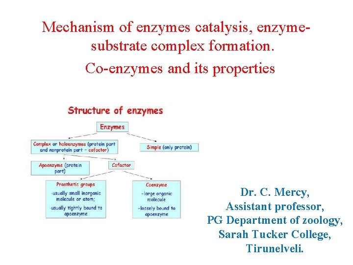 Mechanism of enzymes catalysis, enzymesubstrate complex formation. Co-enzymes and its properties Dr. C. Mercy,