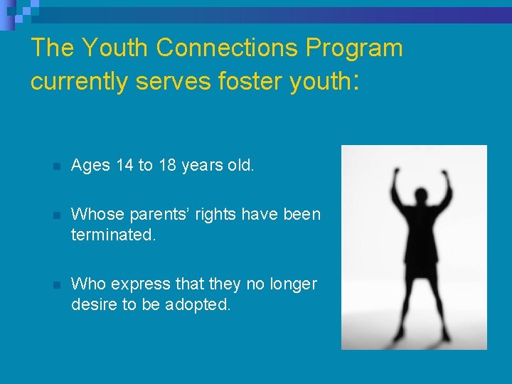 The Youth Connections Program currently serves foster youth: n Ages 14 to 18 years The Youth Connections Program currently serves foster youth: n Ages 14 to 18 years