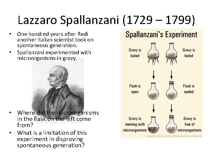 Lazzaro Spallanzani (1729 – 1799) • One hundred years after Redi another Italian scientist