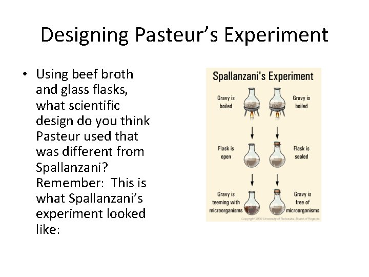 Designing Pasteur’s Experiment • Using beef broth and glass flasks, what scientific design do