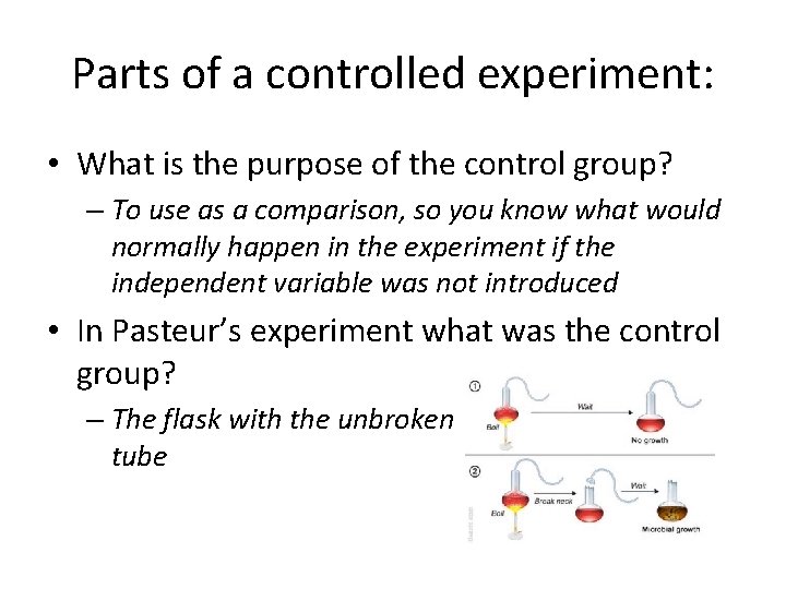 Parts of a controlled experiment: • What is the purpose of the control group?