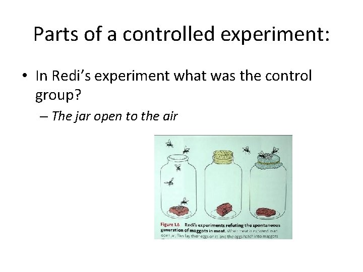 Parts of a controlled experiment: • In Redi’s experiment what was the control group?