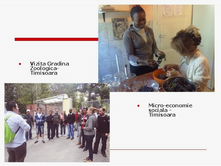  • Vizita Gradina Zoologica. Timisoara • Micro-economie sociala Timisoara 