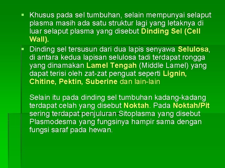 § Khusus pada sel tumbuhan, selain mempunyai selaput plasma masih ada satu struktur lagi