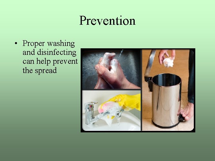 Prevention • Proper washing and disinfecting can help prevent the spread 