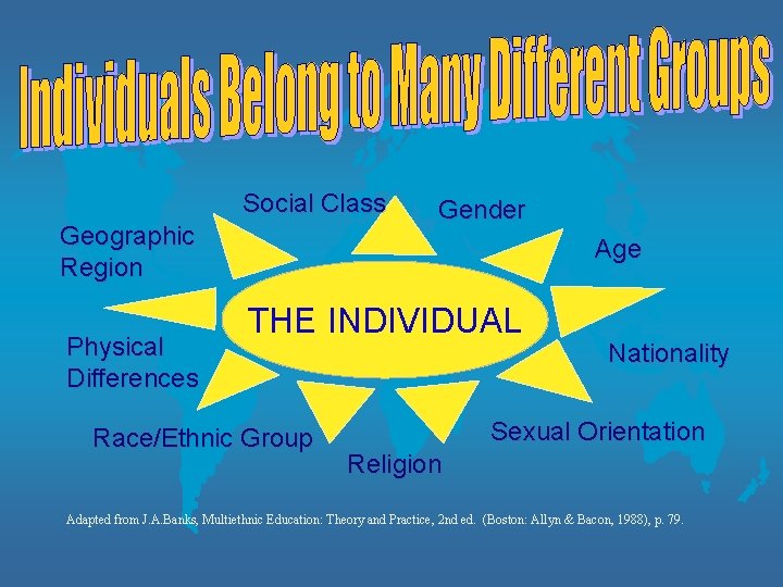 Social Class Geographic Region Physical Differences Gender Age THE INDIVIDUAL Race/Ethnic Group Nationality Sexual