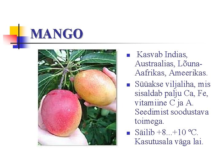 MANGO n n n Kasvab Indias, Austraalias, Lõuna. Aafrikas, Ameerikas. Süüakse viljaliha, mis sisaldab