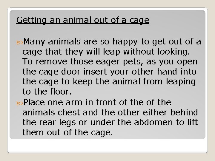 Getting an animal out of a cage Many animals are so happy to get