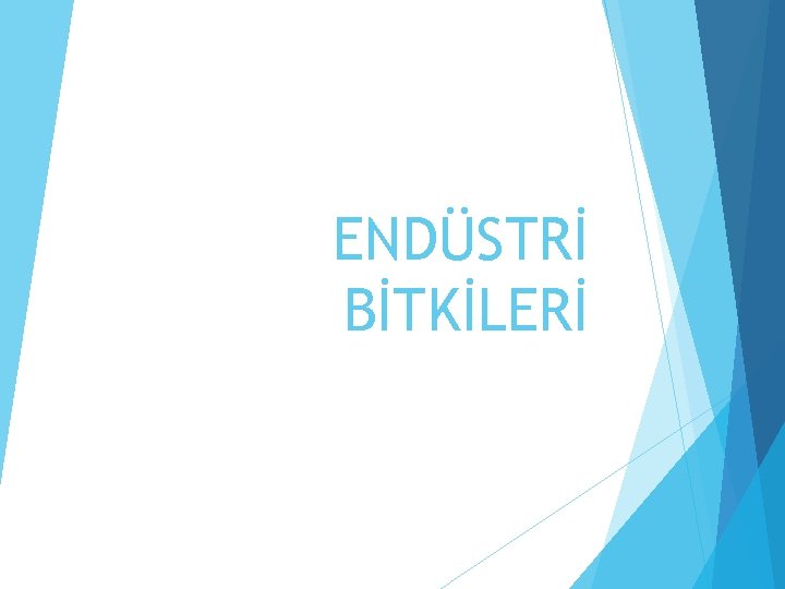 ENDÜSTRİ BİTKİLERİ 