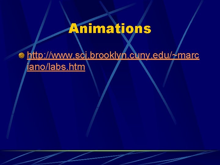 Animations http: //www. sci. brooklyn. cuny. edu/~marc iano/labs. htm Animations http: //www. sci. brooklyn. cuny. edu/~marc iano/labs. htm