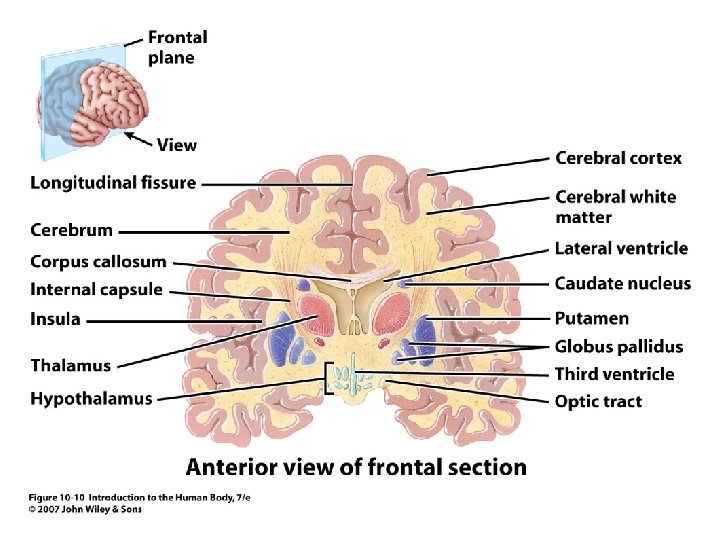 Figure 10. 10 