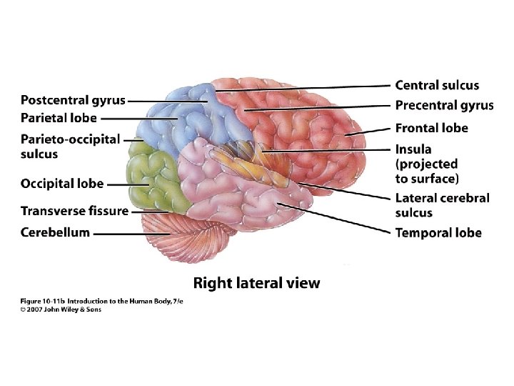 Figure 10. 11 b 