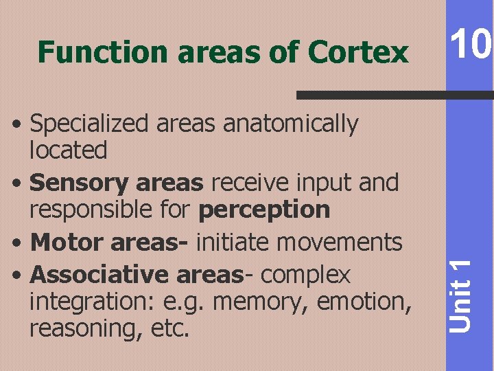  • Specialized areas anatomically located • Sensory areas receive input and responsible for