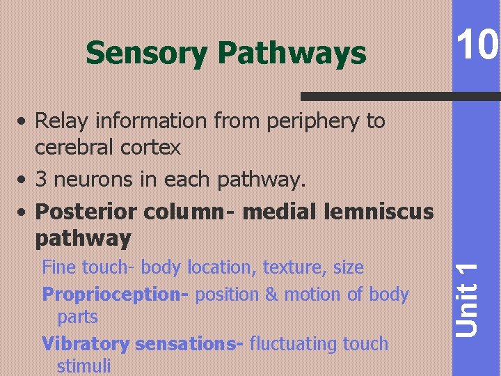 Sensory Pathways 10 Fine touch- body location, texture, size Proprioception- position & motion of