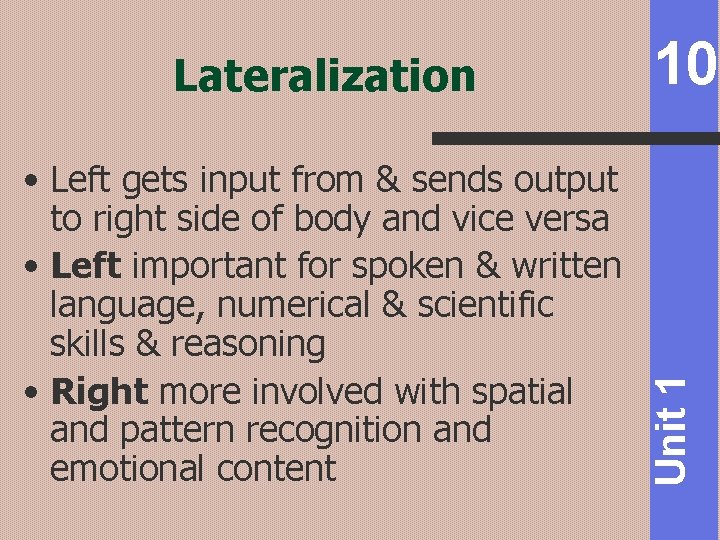  • Left gets input from & sends output to right side of body