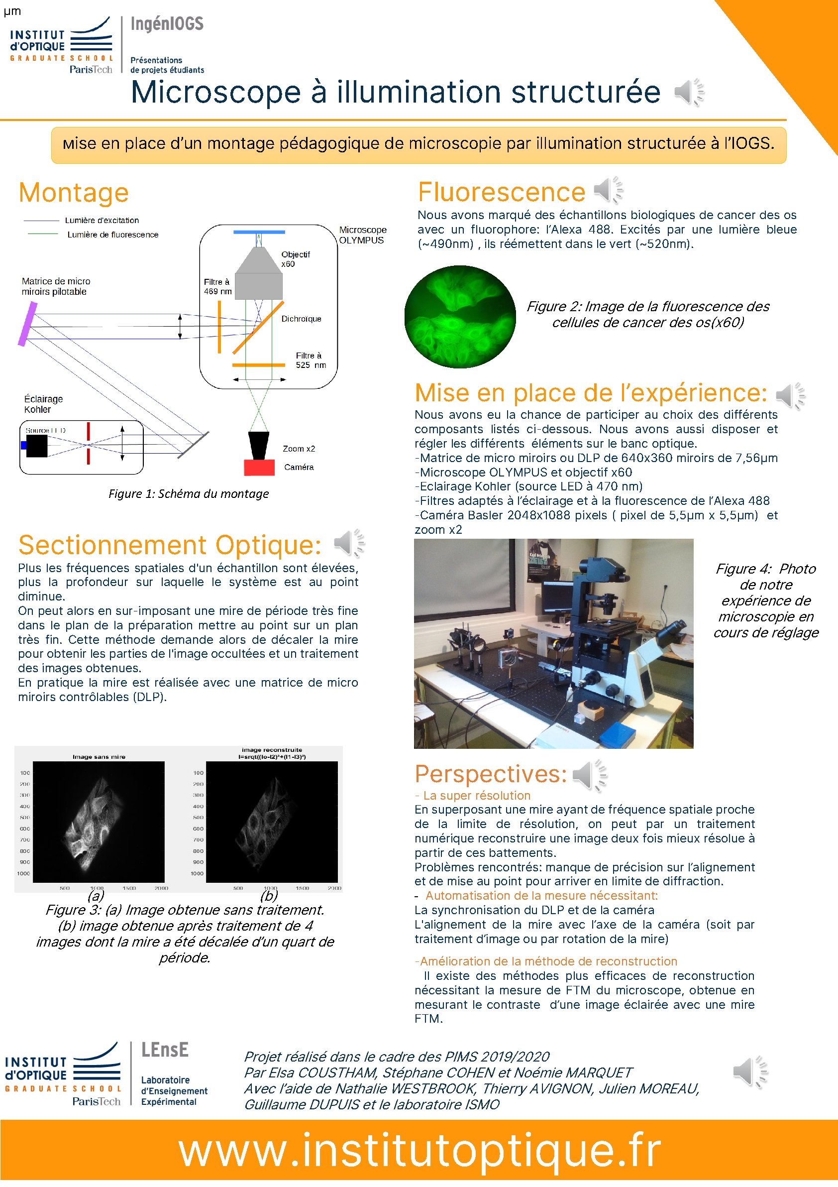 μm Microscope à illumination structurée Mise en place d’un montage pédagogique de microscopie par