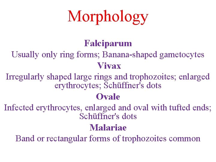 Morphology Falciparum Usually only ring forms; Banana-shaped gametocytes Vivax Irregularly shaped large rings and