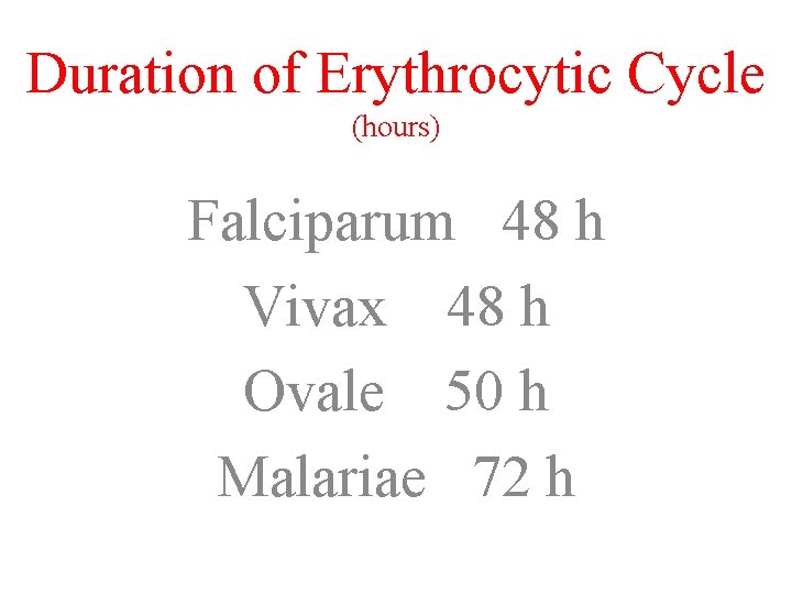 Duration of Erythrocytic Cycle (hours) Falciparum 48 h Vivax 48 h Ovale 50 h