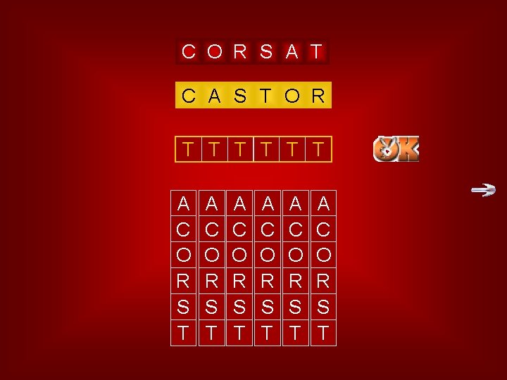 castor C O R S A T C A S T O R O