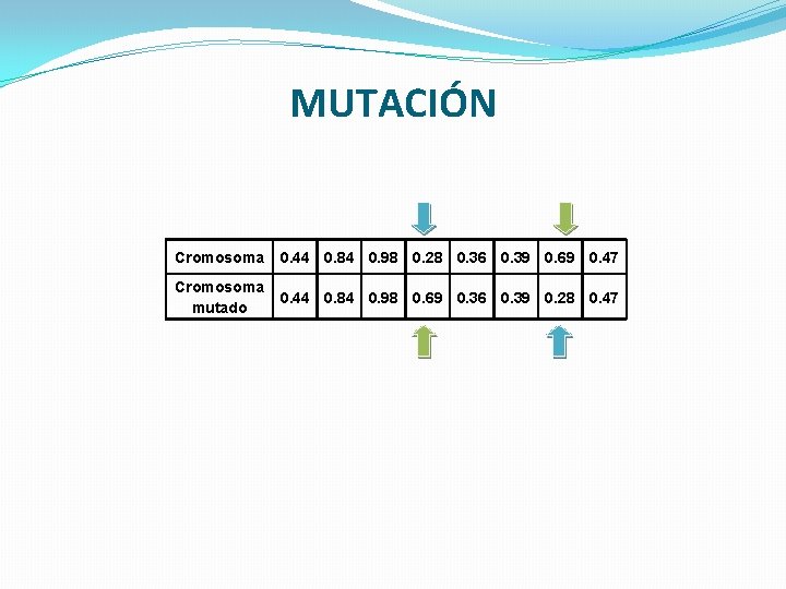 MUTACIÓN Cromosoma 0. 44 0. 84 0. 98 0. 28 0. 36 0. 39