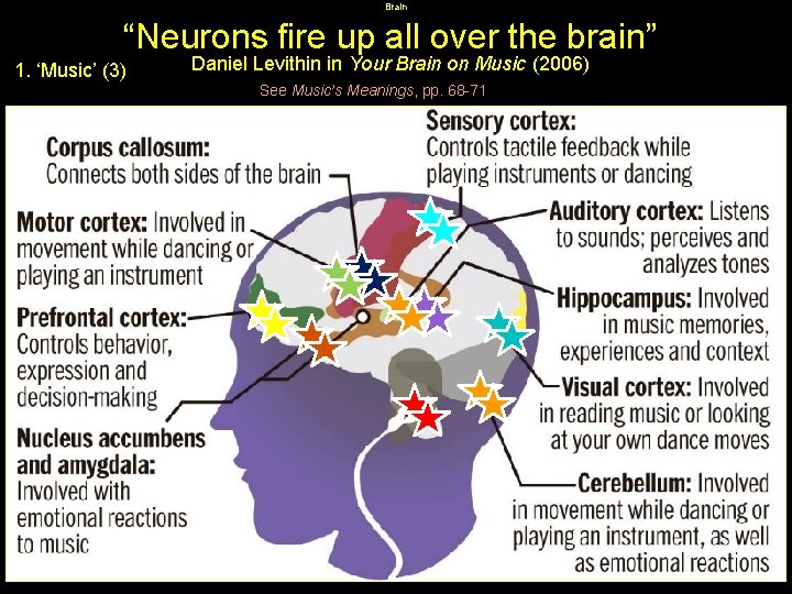 Brain “Neurons fire up all over the brain” 1. ‘Music’ (3) Daniel Levithin in