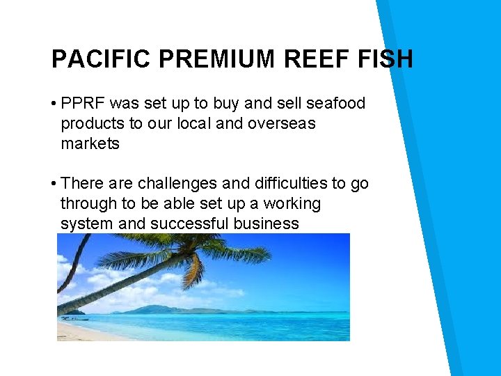 PACIFIC PREMIUM REEF FISH • PPRF was set up to buy and sell seafood