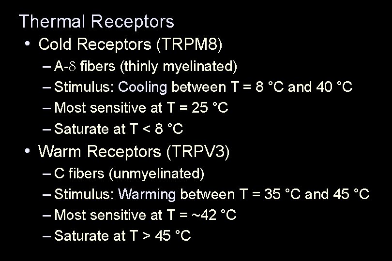 Thermal Receptors • Cold Receptors (TRPM 8) – A-d fibers (thinly myelinated) – Stimulus: