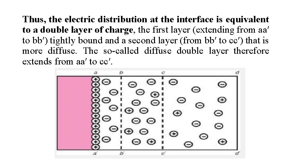 Thus, the electric distribution at the interface is equivalent to a double layer of