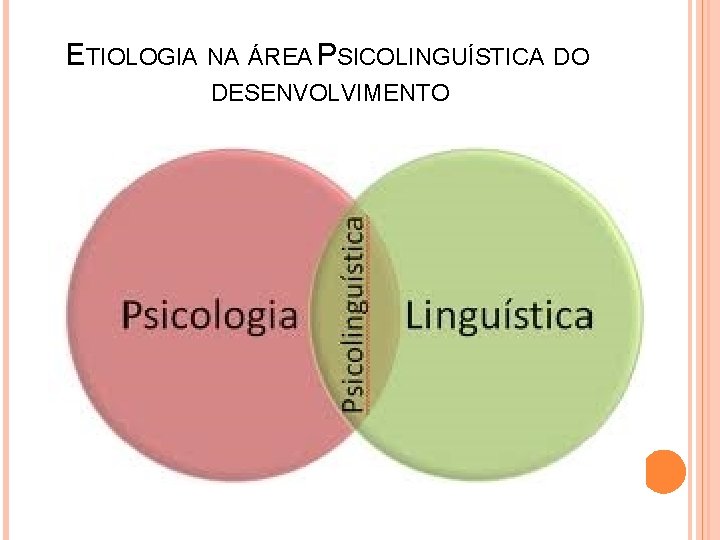 ETIOLOGIA NA ÁREA PSICOLINGUÍSTICA DO DESENVOLVIMENTO 