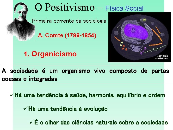 O Positivismo – Física Social Primeira corrente da sociologia A. Comte (1798 -1854) 1.